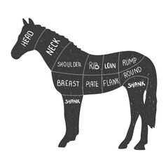 Horse silhouette. Horse cut. Retro animal farm poster for a butchery meat shop