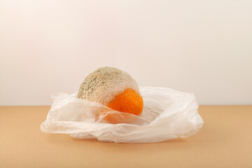 Moldy Orange. Spoiled Orange fruit in plastic bag. Improper storage of citrus fruits. Concept -...