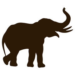 elephant wild animal silhouette