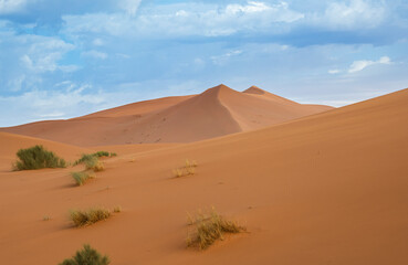 Fototapeta na wymiar Desert landscape. Merzouga desert, the door to Sahara, in Morocco.Desert dunes. Africa landscape background. Travels backgrounds.