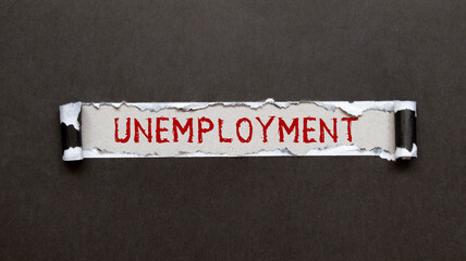 Unemployment insurance. Compensation payments provided to employees who have lost their jobs