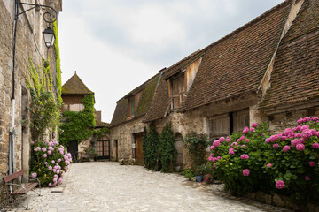 Fototapeta na wymiar Village street in France that looks like a fairytale, with some pink hydrangeas