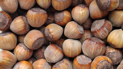 Hazelnuts