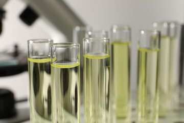 Test tubes with urine samples for analysis, closeup