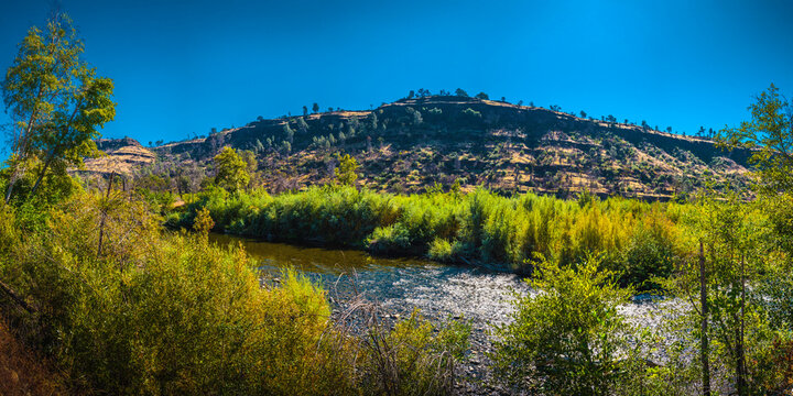 Saturated moody autumn landscape in Butte Canyon  Creek with vibrant green trees and plants, in Paradise, Northern California, near Chico