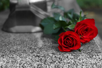 Red roses on grey granite tombstone outdoors, space for text