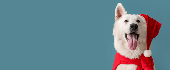 Cute white dog in Santa hat on blue background with space for text