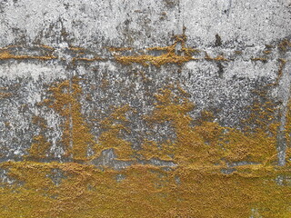 brown moss on old concrete cement background and texture