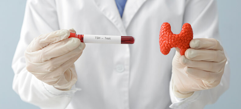 Endocrinologist with model of thyroid gland and blood sample in test tube, closeup
