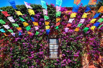 Obraz premium ornaments on the streets with purpple flowers in the wall of house, traditional celebration in san miguel de allende guanajuato 