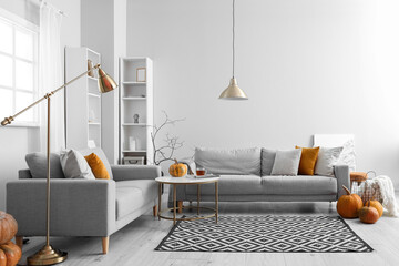 Autumn interior of living room with grey sofas and pumpkins