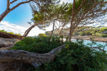Mallorca | Cala Marmacen | Andratx | Spanien