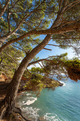 Mallorca | Cala Marmacen | Andratx | Spanien