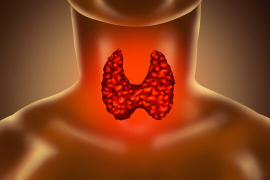 Illustration of human thyroid gland on color background