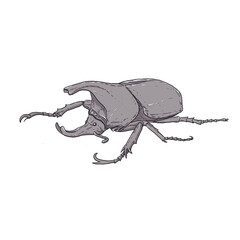 Watercolor painting Rhinoceros beetle pattern.  