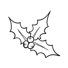Hand drawn doodle holly leaves with berries. Vector outline illustration. Perfect for greeting cards, print, textile designs, Christmas designs.