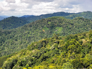 Fototapeta premium Tropical mountain range at reserved forest of Trus Madi mountain.