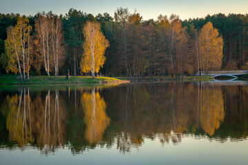Autumn landscape with yellow and orange trees and lake reflection, Lithuania