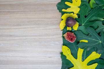 Creative layout made of fig leaves and fresh fruit  in autumn on the table with neutral space. Flat lay. Autumn nature leaves concept. Great for presentation slide.	