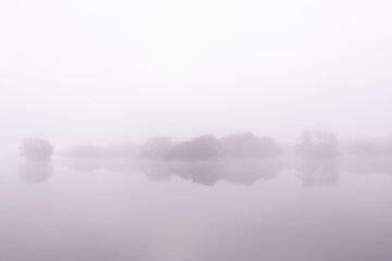 Line of trees in purple mist on lake