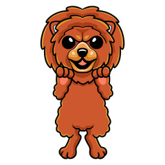 Cute little lion dog cartoon 