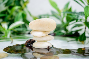 White Zen Stones In Water Nature Background Green Leaves Symbol Peace Spa Concept