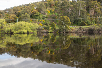 Beautiful reflections of the trees and shrubs along the riverbank of the Huon River