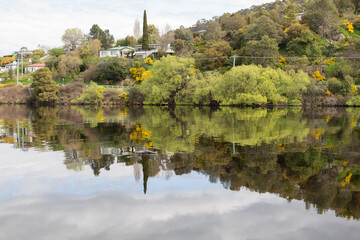 Fototapeta na wymiar Beautiful reflections of the trees and shrubs along the riverbank of the Huon River