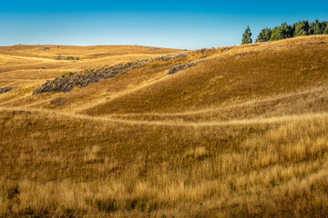 Landscape, pampa meadows in the hills at golden autumn sunrise, Southern Brazil