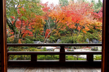 Decorative of the Japanese Style garden in Autumn season change leaf in Japan