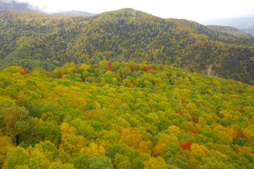 黒岳ロープウェイからの美しい秋の紅葉