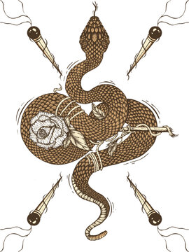 snake ilustration 