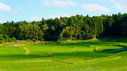 山のふもとにある田園風景（日本）