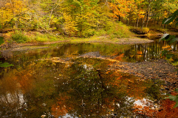 Reflections of the autumn woods in the Blackwater River.
