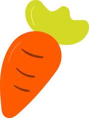 Carrot hand drawn flat style
