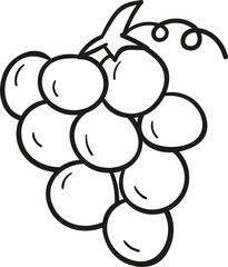 Grapes hand drawn outline style
