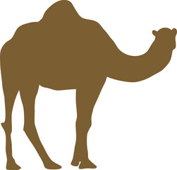 camel silhouette