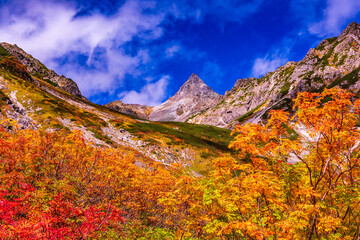 槍沢の紅葉と槍ヶ岳