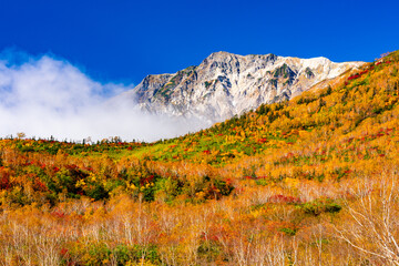 紅葉と白馬岳