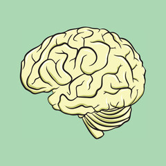brain icon isolated on white background from health and protection collection