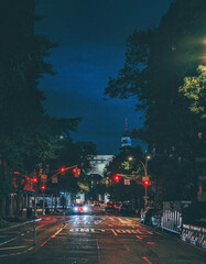 street tree in the night park life in New York City Manhattan cars people sky blue 