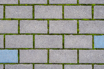 Cobblestone pavement Stone tile floor paving. Abstract background texture. Cobbles close-up with a green grass in the seams. Top view