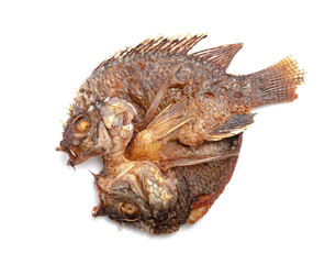 fried tilapia, freshwater fish isolated on white background