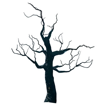 Dark tree