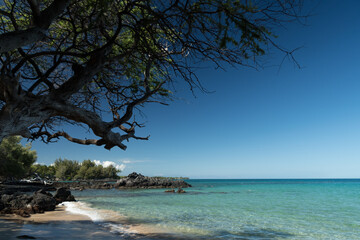 Long tree branches form shades and frame horizon at Puako Beach - 4