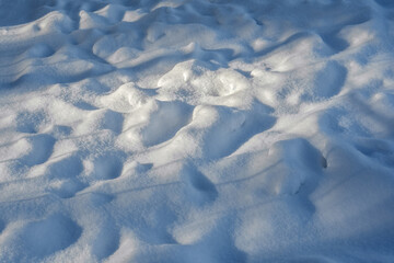 Obraz premium The pattern and texture of freshly fallen snow on a winter morning. Winter background for the design. The beauty of nature