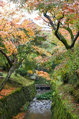 Naklejka premium japanese garden in autumn