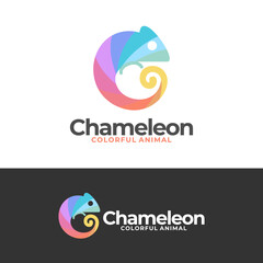 chameleon colorful vector template. animal color graphic illustration. © khezylicious