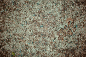 pegadas de cachorro no cimento.