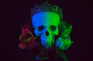 human skull in a crown in tulip flowers with colored neon lighting on a dark background